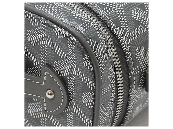 Goyard Mini borsa a tracolla Gray Muse Vanity Marrone - vista 10