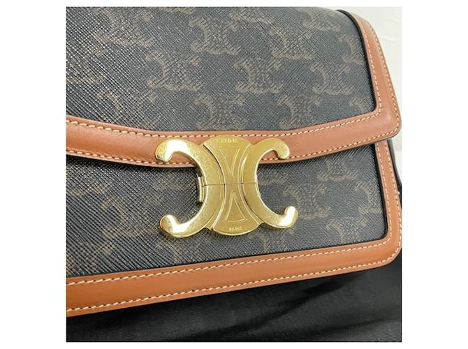 Céline Borsa a tracolla Celine Triumph Tin Multicolore - vista 3