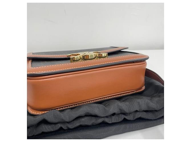 Céline Borsa a tracolla Celine Triumph Tin Multicolore - vista 6