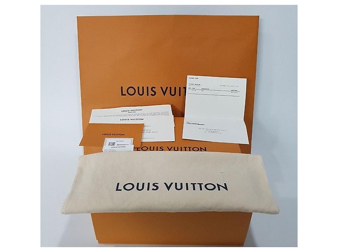 Louis Vuitton Bolso Hobo Monogram Loop Multicolor - vista 10