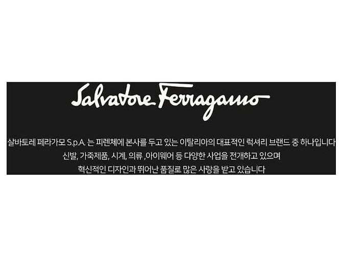 Salvatore Ferragamo Luxus-Sonnenbrille Oversized Horn-Optik Mode vergoldet Rot - Ansicht 2