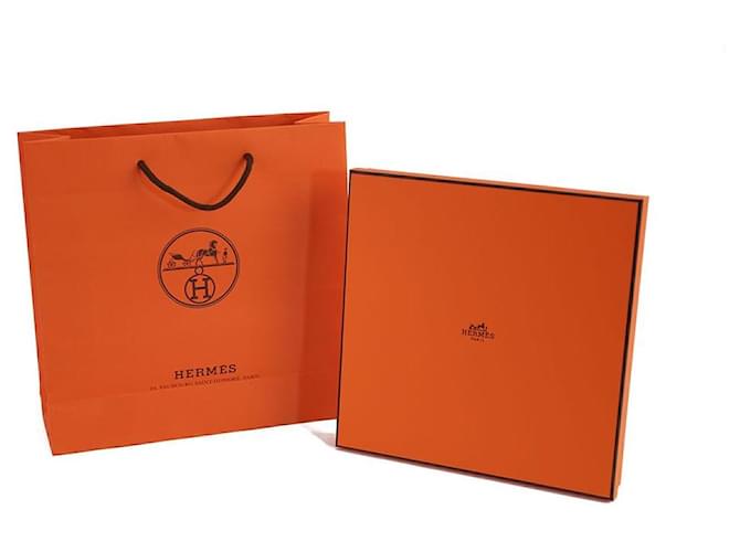 Hermès Pareo Optimist Multicolor - vista 11