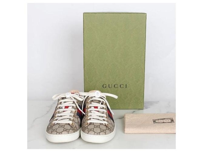 Gucci Ace Sneakers Brown Marrone - vista 2