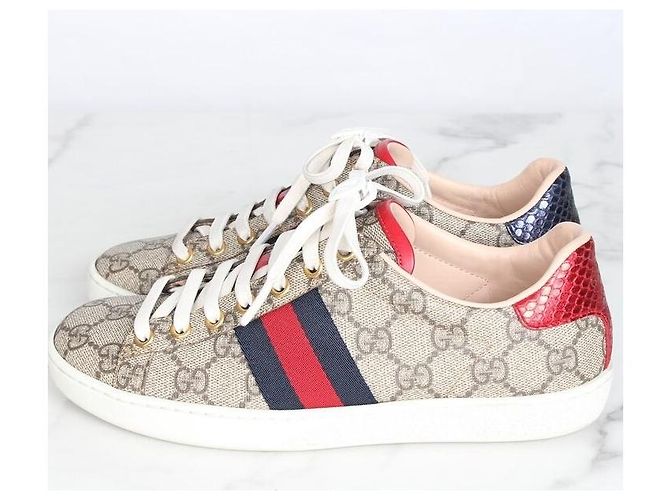 Gucci Ace Sneakers Brown Marrone - vista 5