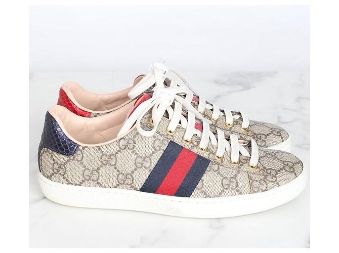 Gucci Ace Sneakers Brown Marrone - vista 6