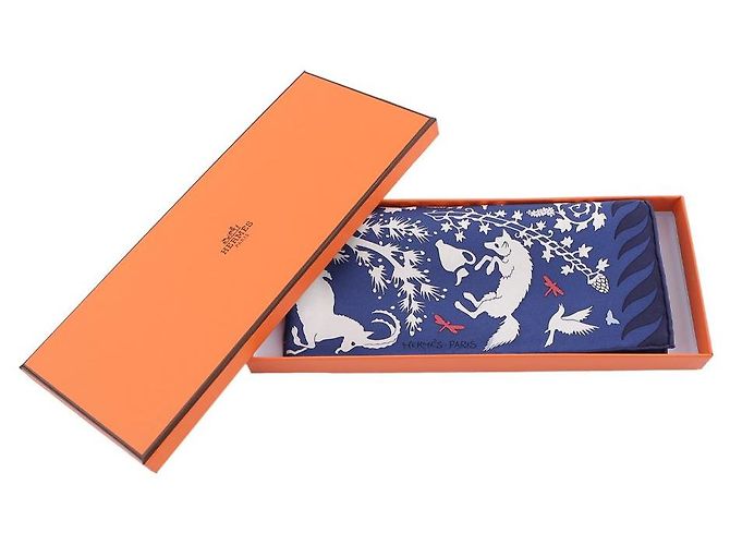 Hermès Cachecol com detalhes Azul - vista 12