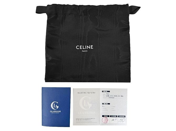 Céline Mini borsa a tracolla Claude Shiny Triomphe Gialla Giallo - vista 11