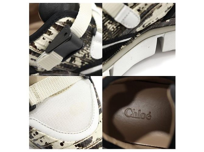 Chloé SONNIE Low Top Damensneaker aus Kalbsleder mit Eidechsenmuster Mehrfarben - Ansicht 7