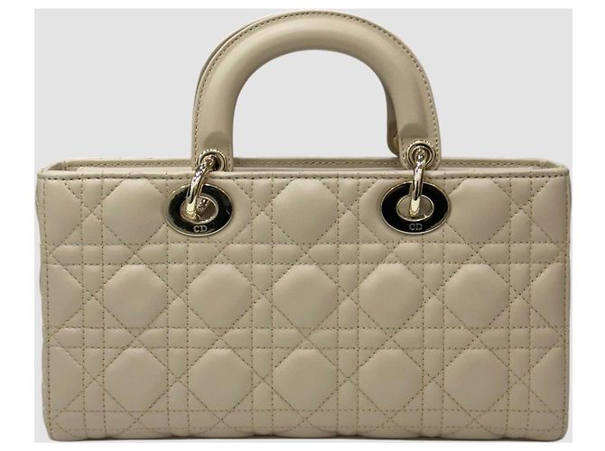Borsa Tote Lady Dior Joy Medium Multicolore - vista 10
