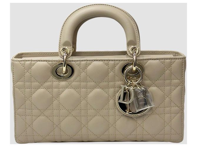 Borsa Tote Lady Dior Joy Medium Multicolore - vista 2