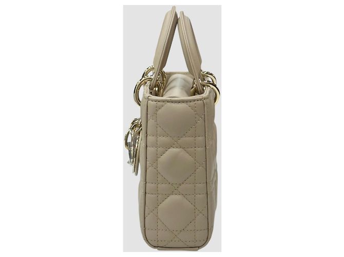 Borsa Tote Lady Dior Joy Medium Multicolore - vista 4