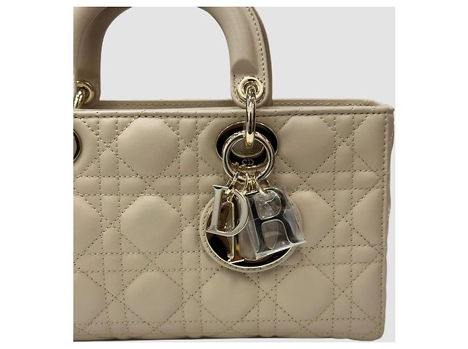 Borsa Tote Lady Dior Joy Medium Multicolore - vista 6