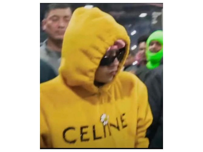 Céline Alpaca Hoodie mit Glitter-Logo Gelb - Ansicht 10