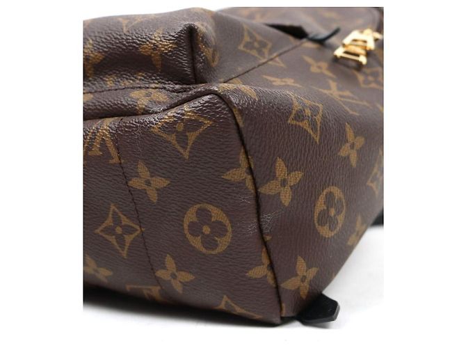 Louis Vuitton Mochila Monogram Palm Springs Multicor - vista 10