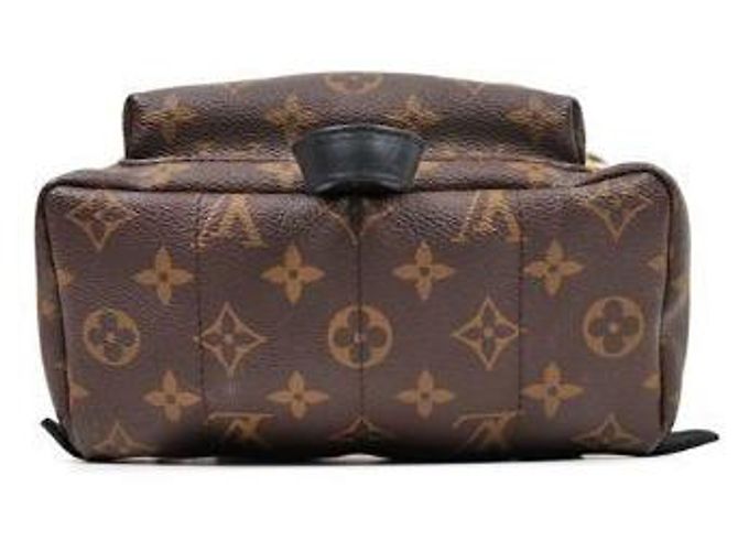 Louis Vuitton Mochila Monogram Palm Springs Multicor - vista 4