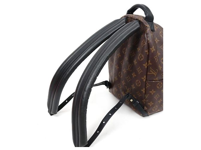Louis Vuitton Mochila Monogram Palm Springs Multicor - vista 5
