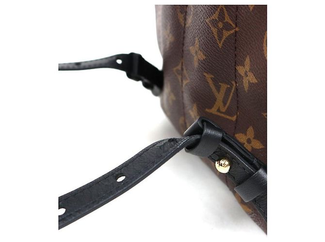 Louis Vuitton Mochila Monogram Palm Springs Multicor - vista 7