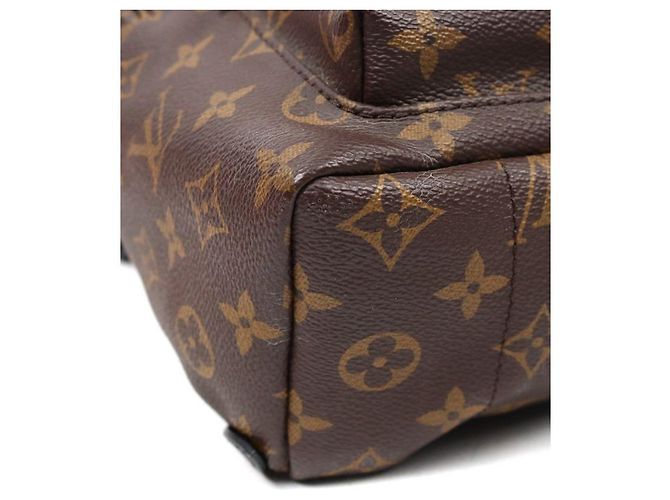 Louis Vuitton Mochila Monogram Palm Springs Multicor - vista 9
