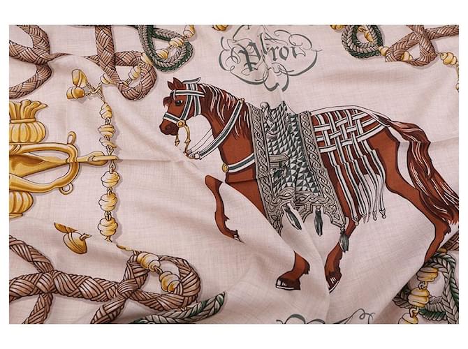 Hermès Chal Palefroi Multicolor - vista 9