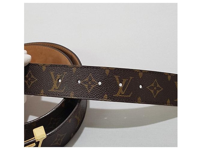 Louis Vuitton Monogram Initial LV Gürtel Mehrfarben - Ansicht 8