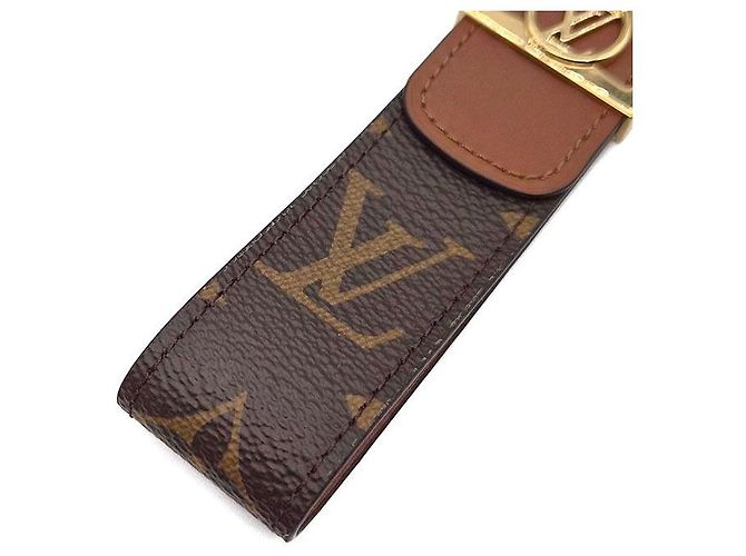 Louis Vuitton Portachiavi e charm per borsa Monogram Dauphine Dragonne Multicolore - vista 3