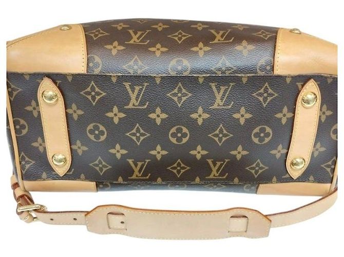 Speedy Louis Vuitton Borsa Tote Monogram Retiro PM Borsa a Spalla Multicolore - vista 5
