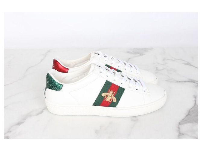 Gucci Sneakers Ace Multicolore - vista 4