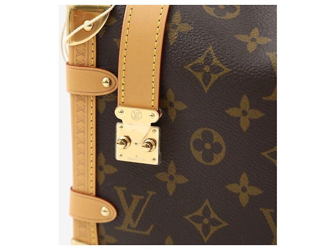 Louis Vuitton Borsa a tracolla e crossbody Side Trunk MM Monogram Multicolore - vista 7