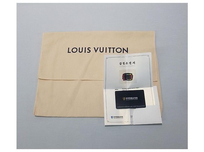 Louis Vuitton Mini borsa a tracolla Soft Trunk Taiga Rainbow Argento - vista 10