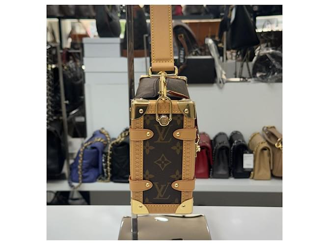 Louis Vuitton Monogram Side Trunk MM Mehrfarben - Ansicht 5