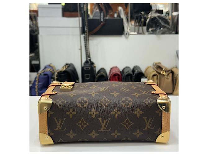 Louis Vuitton Monogram Side Trunk MM Mehrfarben - Ansicht 8