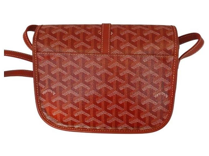 Borsa a tracolla Belvedere PM Rossa Goyard Canvas PVC Rosso - vista 6