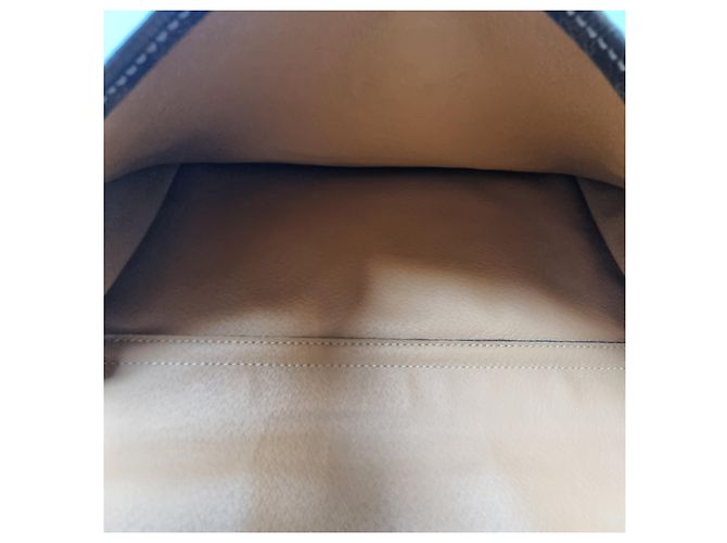 Céline Borsa shopper Triomphe Macadam con taschino Borsa a tracolla Marrone - vista 19