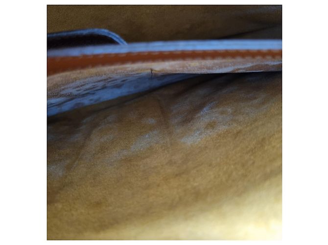 Louis Vuitton Sac Document Epi Sorbonne Mixte (Double Compartiment, Modèle Rare) Marron - vue 19