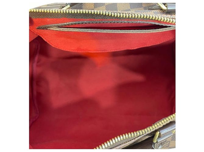 Louis Vuitton Damier Speedy Tote Bag Mehrfarben - Ansicht 5