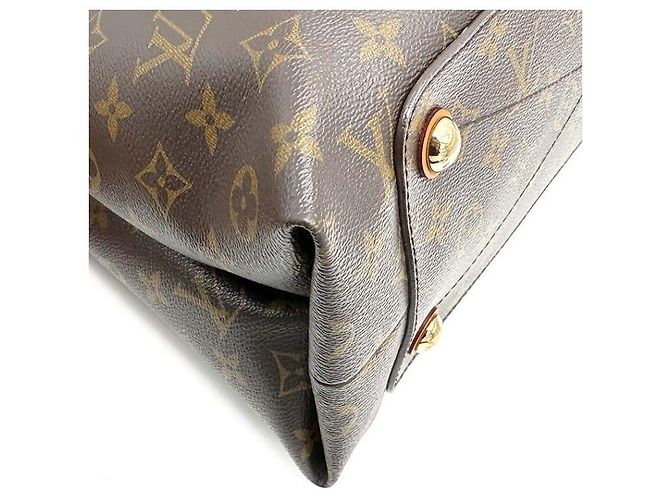 Louis Vuitton Monogram Olengf - vista 6