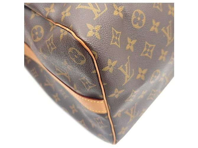Louis Vuitton Keepall Monogram - vista 6