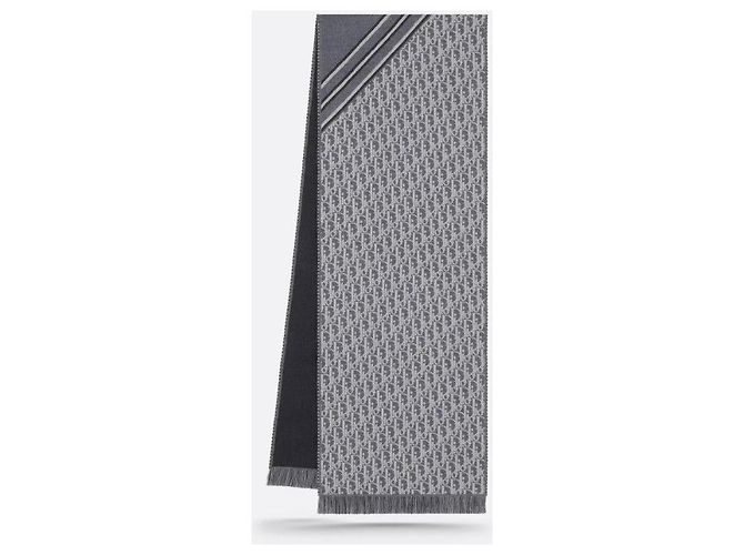 Dior Oblique Schal - vista 10