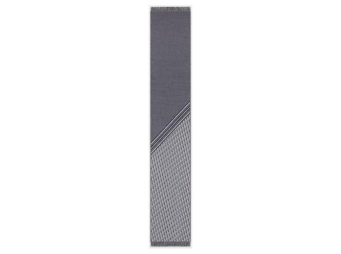 Dior Oblique Schal - vista 11