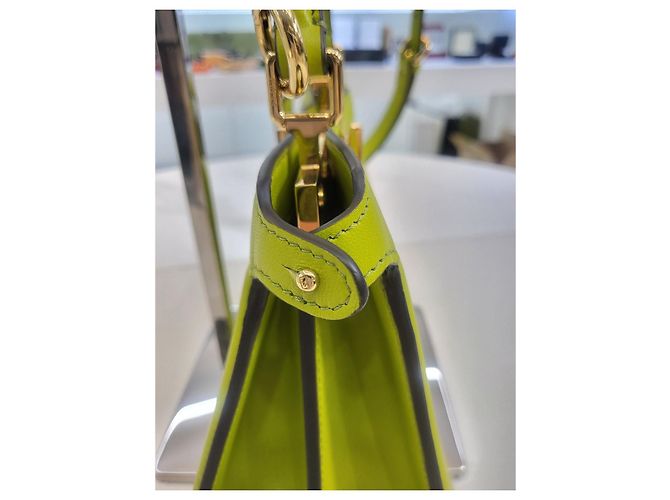 Fendi Piccola borsa tote a tracolla Peekaboo ISeeU Verde - vista 19
