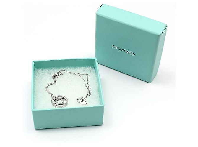 Tiffany & Co Collana con pendente Atlas Circle in argento sterling - vista 2
