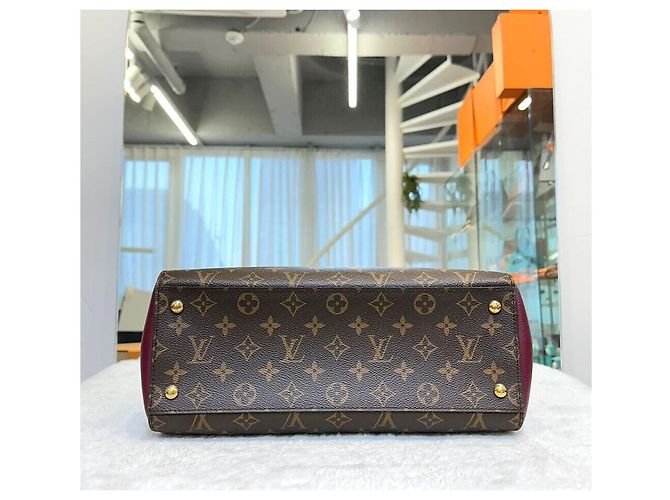 Louis Vuitton Borsa Tote e Borsa a Spalla Monogram Florin Rosso - vista 3