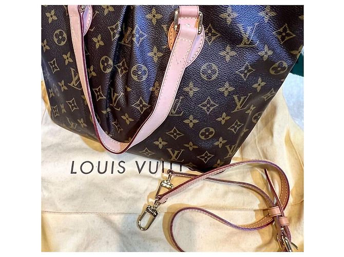 Louis Vuitton Tote e borsa a tracolla Monogram Palermo PM Multicolore - vista 6