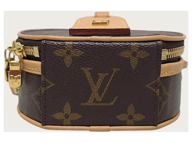 Louis Vuitton Borsa Monogram Mini Boucle Marrone - vista 6