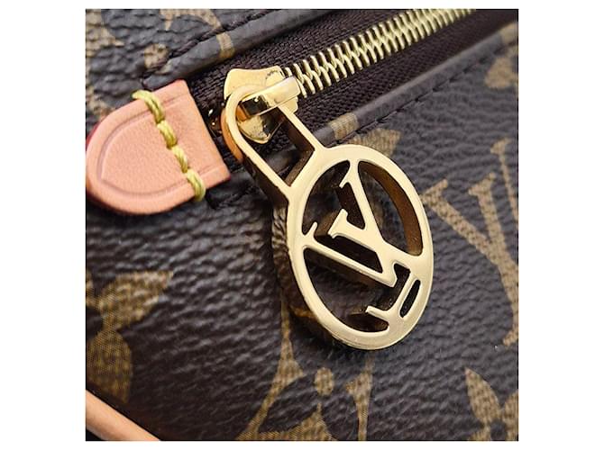 Louis Vuitton Monogram Loop Chain Schultertasche Braun - Ansicht 8
