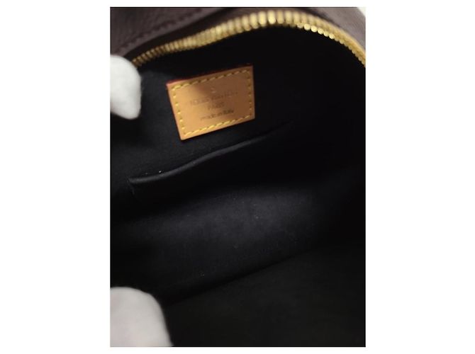 Louis Vuitton Borsa a tracolla Reverse Giant Monogram Boucle Chapo Souffle marrone - vista 5