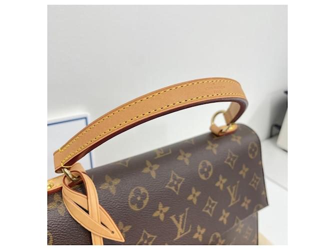 Louis Vuitton Monogram Cluny MM Multicolore - vista 4