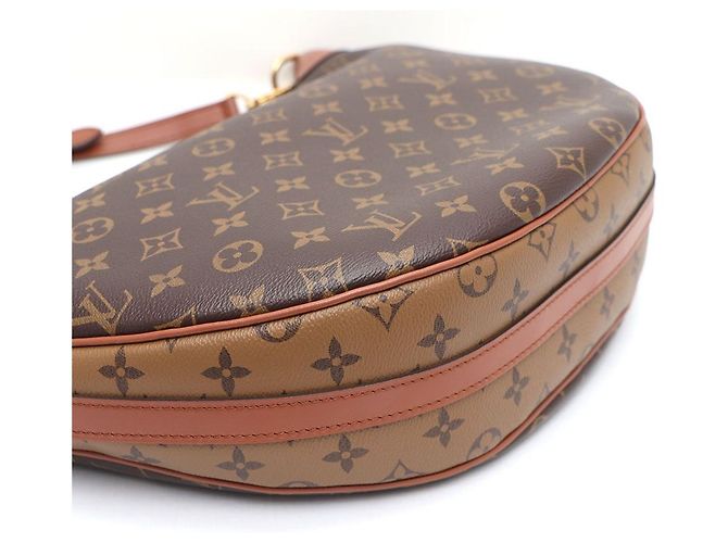 Louis Vuitton Borsa Hobo Loop in Tela Monogram, Borsa Tote e Borsa a Tracolla Multicolore - vista 5