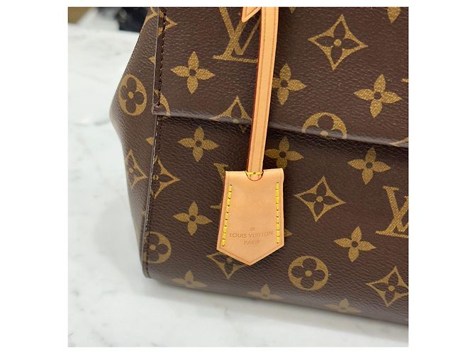 Louis Vuitton Borsa Tote Monogram Cluny BB Crossbody Multicolore - vista 12