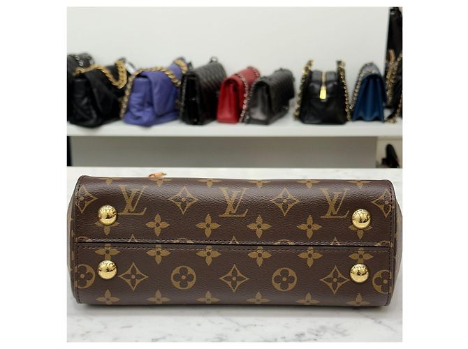 Louis Vuitton Borsa Tote Monogram Cluny BB Crossbody Multicolore - vista 9